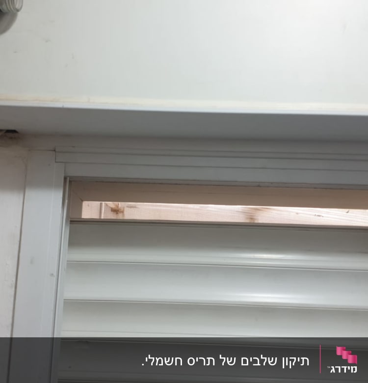 תריסים לבנים עם חריצים פתוחים חלקית